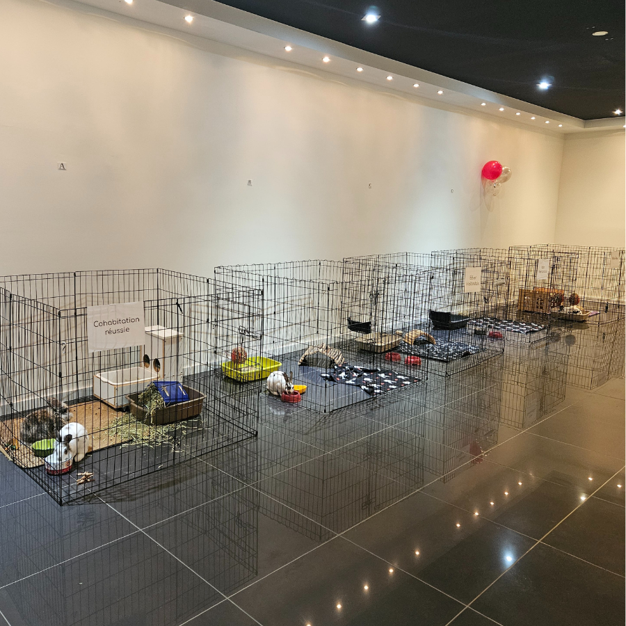 Réservation - Service de Cohabitation – Image 3