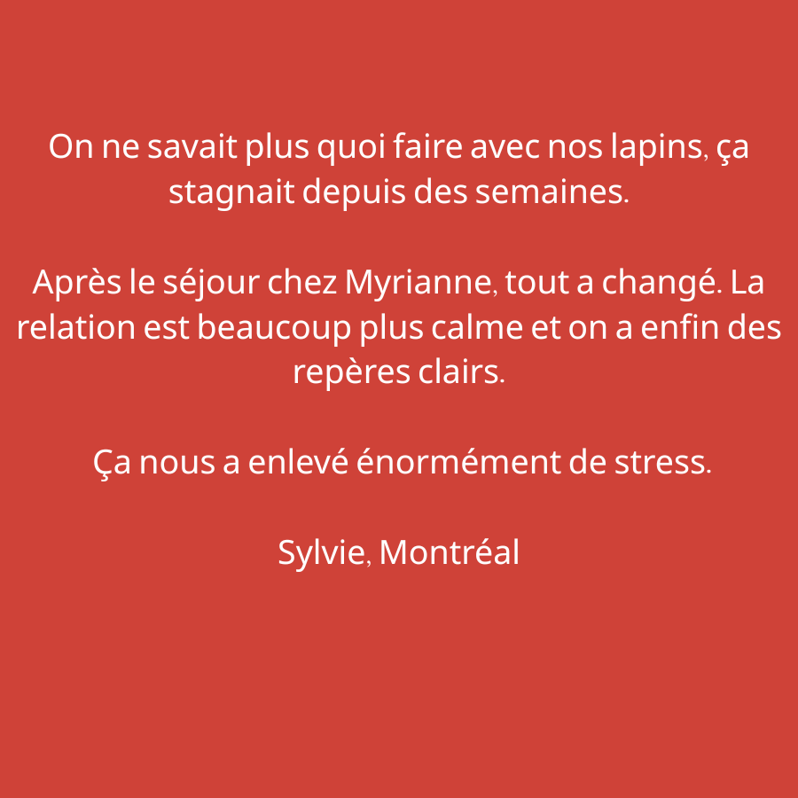 Réservation - Service de Cohabitation – Image 4