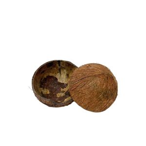 Demie noix de coco vide