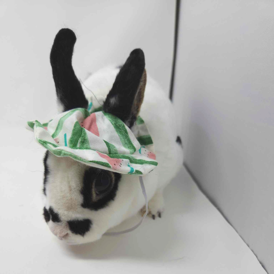 Chapeau de lapin miniature, chapeau de Pâques miniature, petit chapeau de  lapin, mini chapeau de lapin, mini chapeau de Pâques