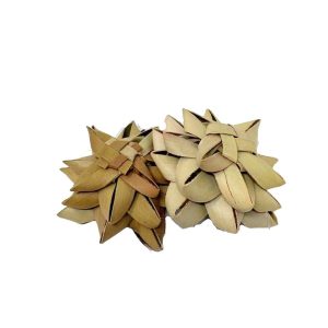 Fleurs en palmier (2) - Les Petits Lapins d'Amour