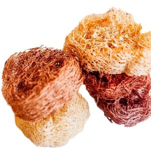 Rondelles de loofah - Saveur de fruits