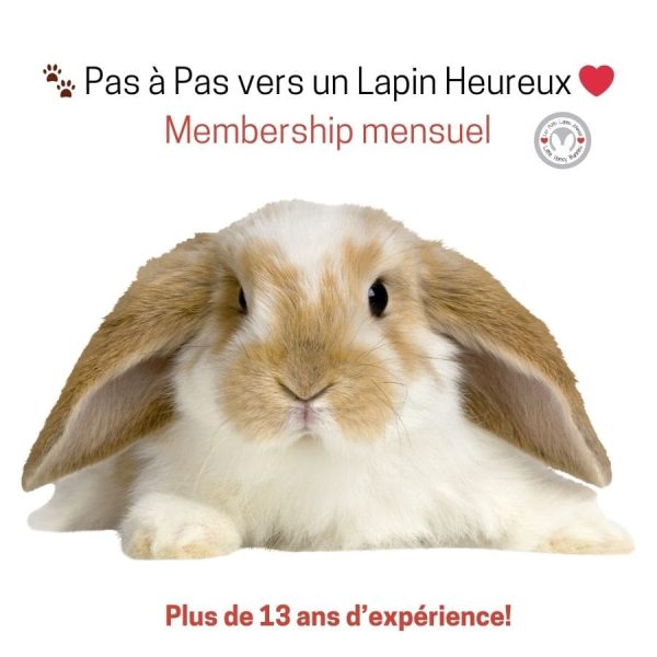 🐾 Pas à Pas vers un Lapin Heureux ❤ – Membership mensuel