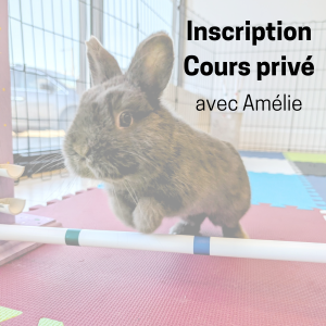 Inscription Cours Privé - Saut d'obstacle pour lapin