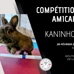 Compétition Amicale - Laval, 28 fév. 2026