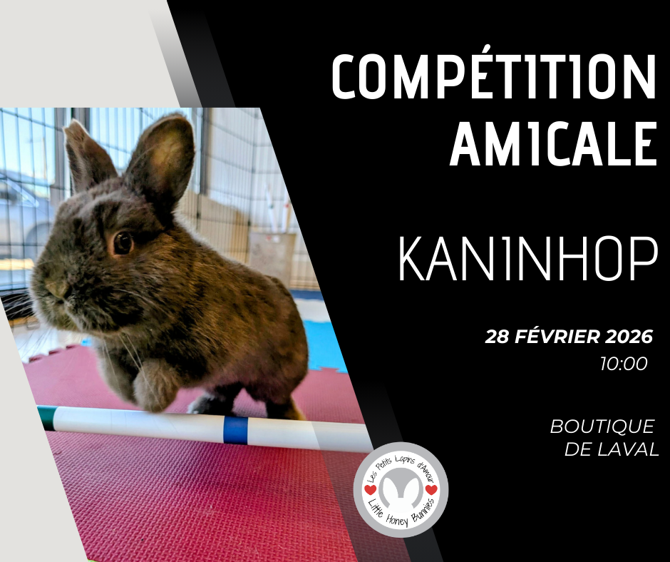 Compétition Amicale - Laval, 28 fév. 2026