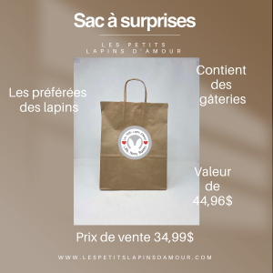 Sac à surprise - Gâteries #1