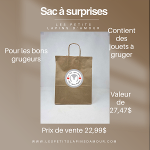 Sac à surprise - Jouets à gruger (pour les bons grugeurs)