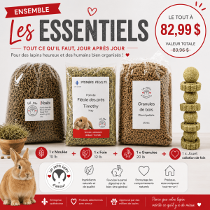 * L'ensemble ''Les essentiels''