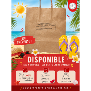 🏖️ Sac à Surprise des Vacances pour Lapin – Prévente