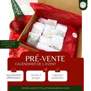 ! Prévente - Calendrier de l'avent 🐰🎄